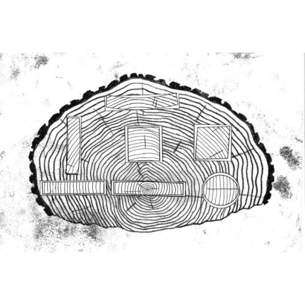 Droog Hout - Afbeelding 2