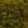 Sap Green Genuine-PG2