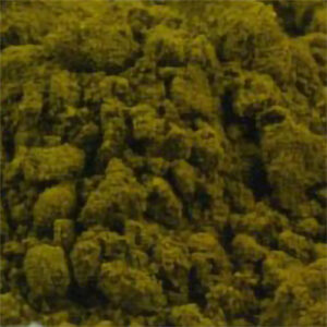 Sap Green Genuine-PG2