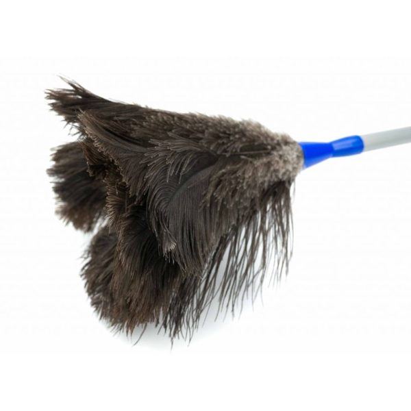Plumeau 31cm met Telescoopsteel 150cm