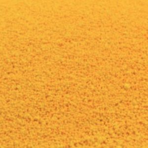 Bristol Yellow - medium