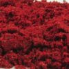 Dragon's Blood - powder (PR 31)