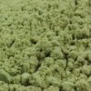 Groene Aarde licht