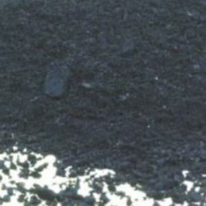 Indigo Genuine (PR 88)