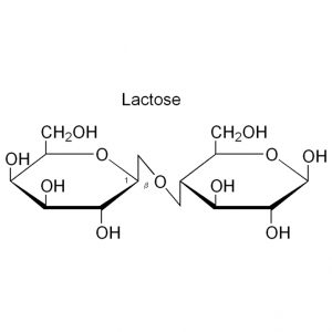 Lactose