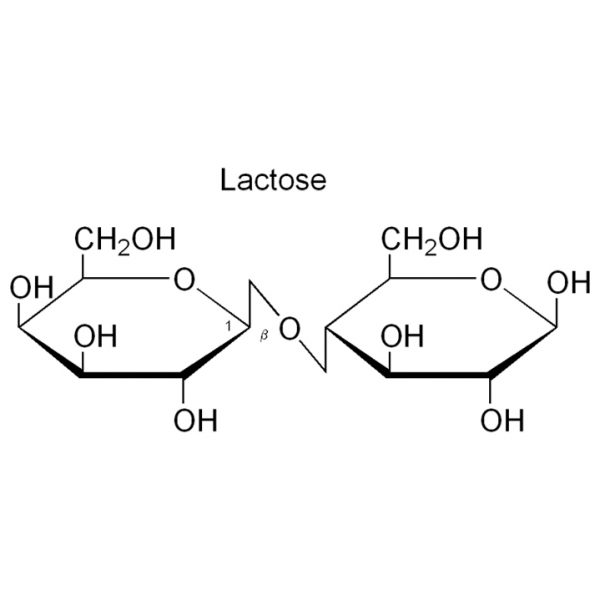 Lactose