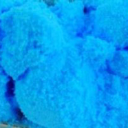 Ploss Blue (CI geen)
