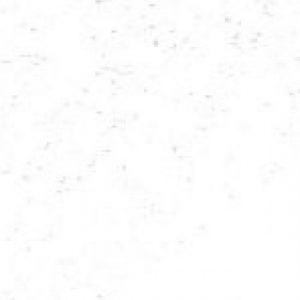 Steenkrijt ca. 4 µ