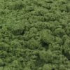 Veronese Green Earth Genuine -  (PG 23)