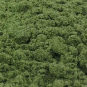 Veronese Green Earth Genuine -  (PG 23)