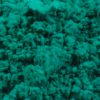 Viridian Green