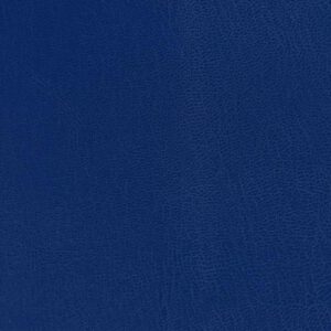 Leerkleurstof blauw