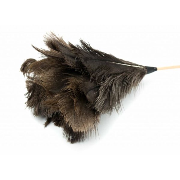 Struisvogel Plumeau op Steel 115cm