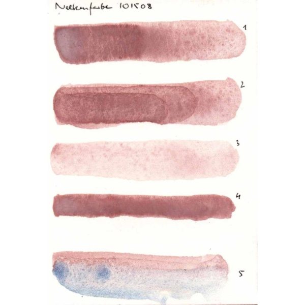 Aquarel - Anjer Kleur (Oud Roze) - Afbeelding 3
