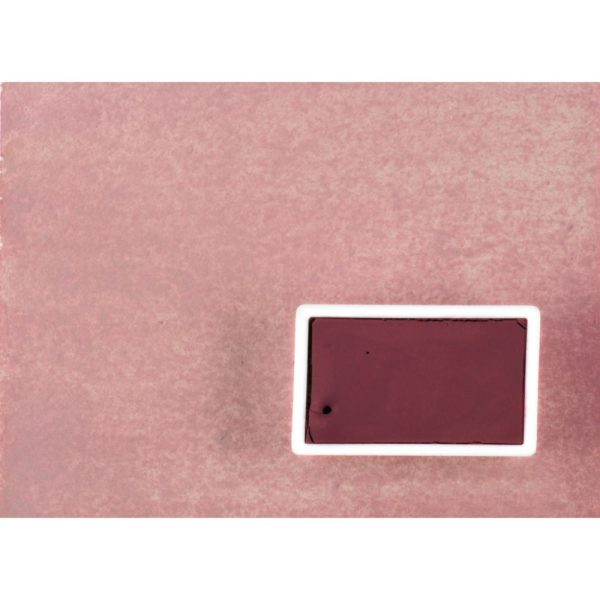 Aquarel - Anjer Kleur (Oud Roze)