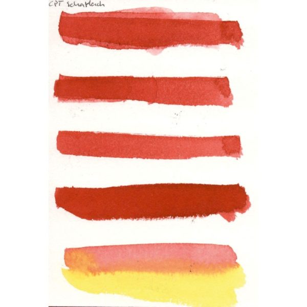 Aquarel - CPT-Scharlakenrood - Afbeelding 2