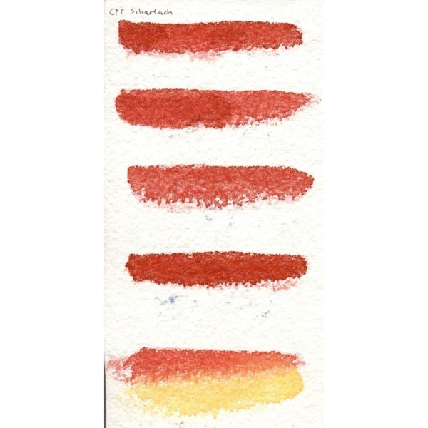 Aquarel - CPT-Scharlakenrood - Afbeelding 3