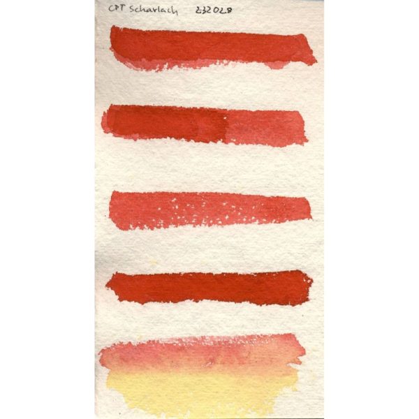 Aquarel - CPT-Scharlakenrood - Afbeelding 4
