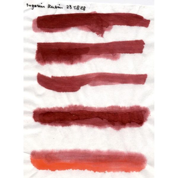 Aquarel - Robijn DPP TR, PR 264 - Afbeelding 5