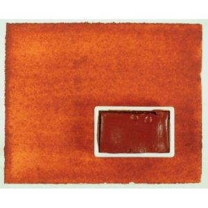 Aquarel - Rode Bolus