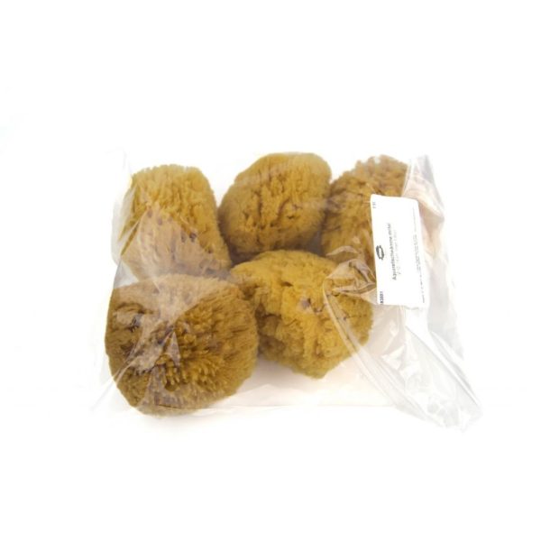 Natuurlijke Spons, Medium