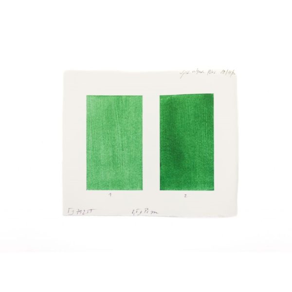 Spirulina Groen, Algenpigment - Afbeelding 2